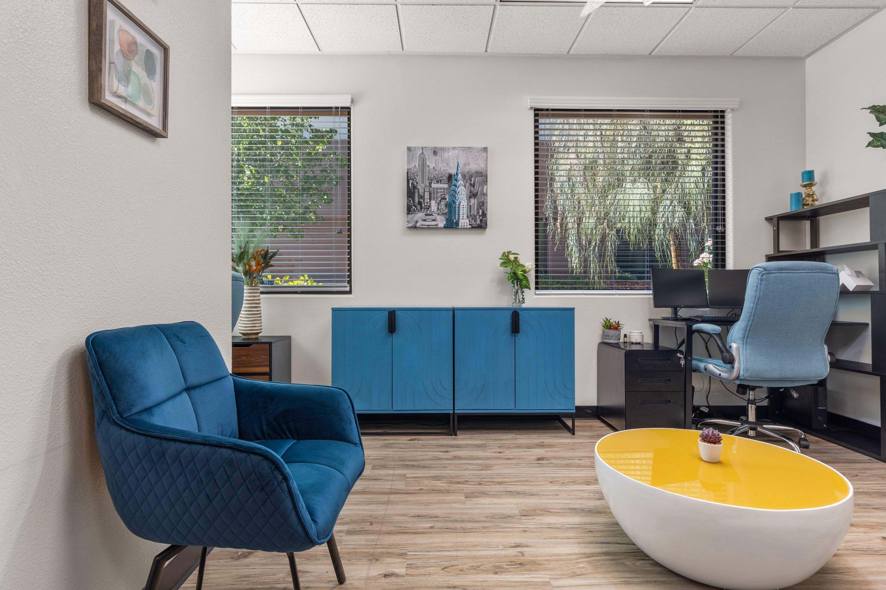 Blue Velvet Office Lounge
