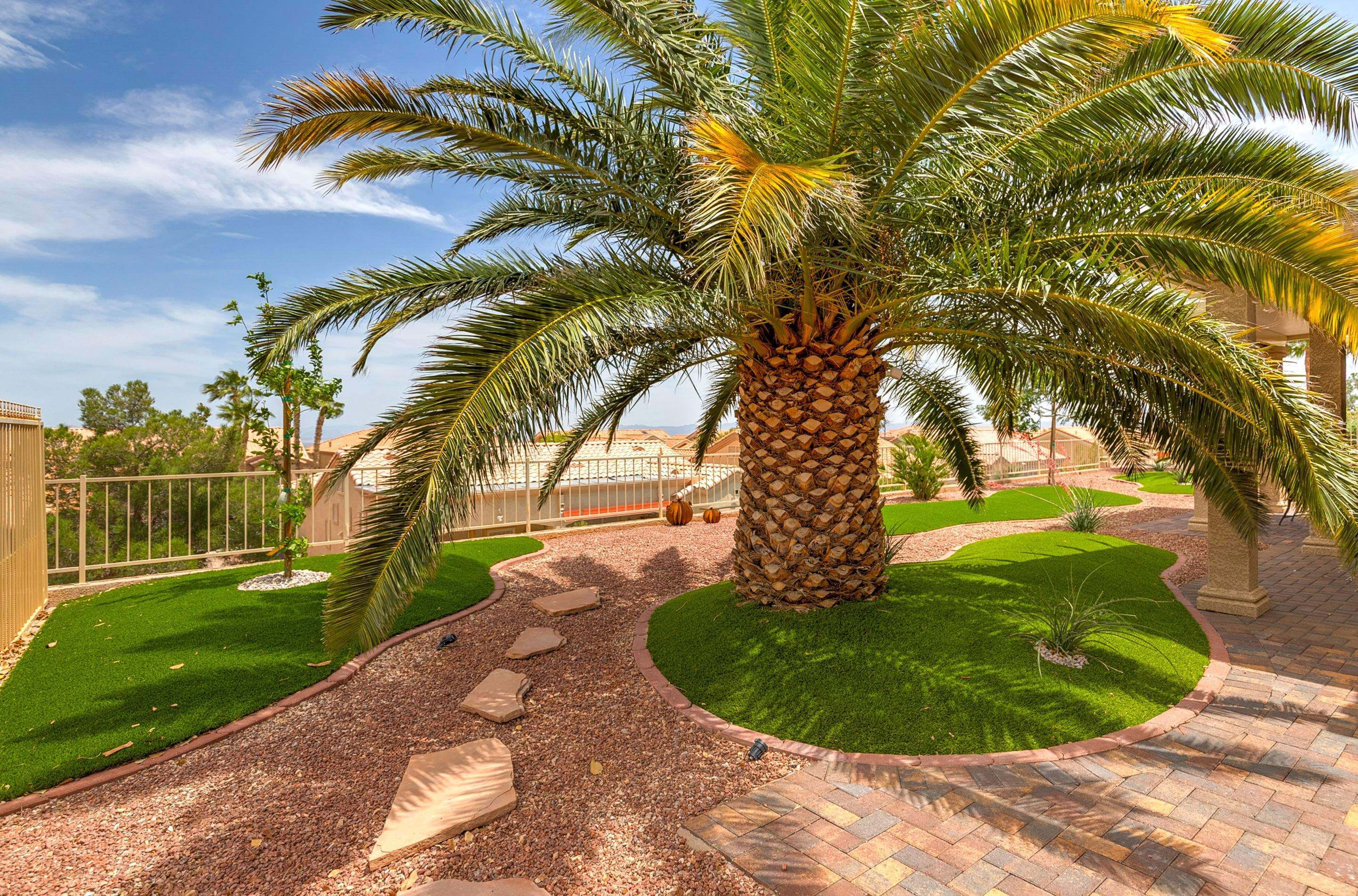 Palm Tree Garden Path