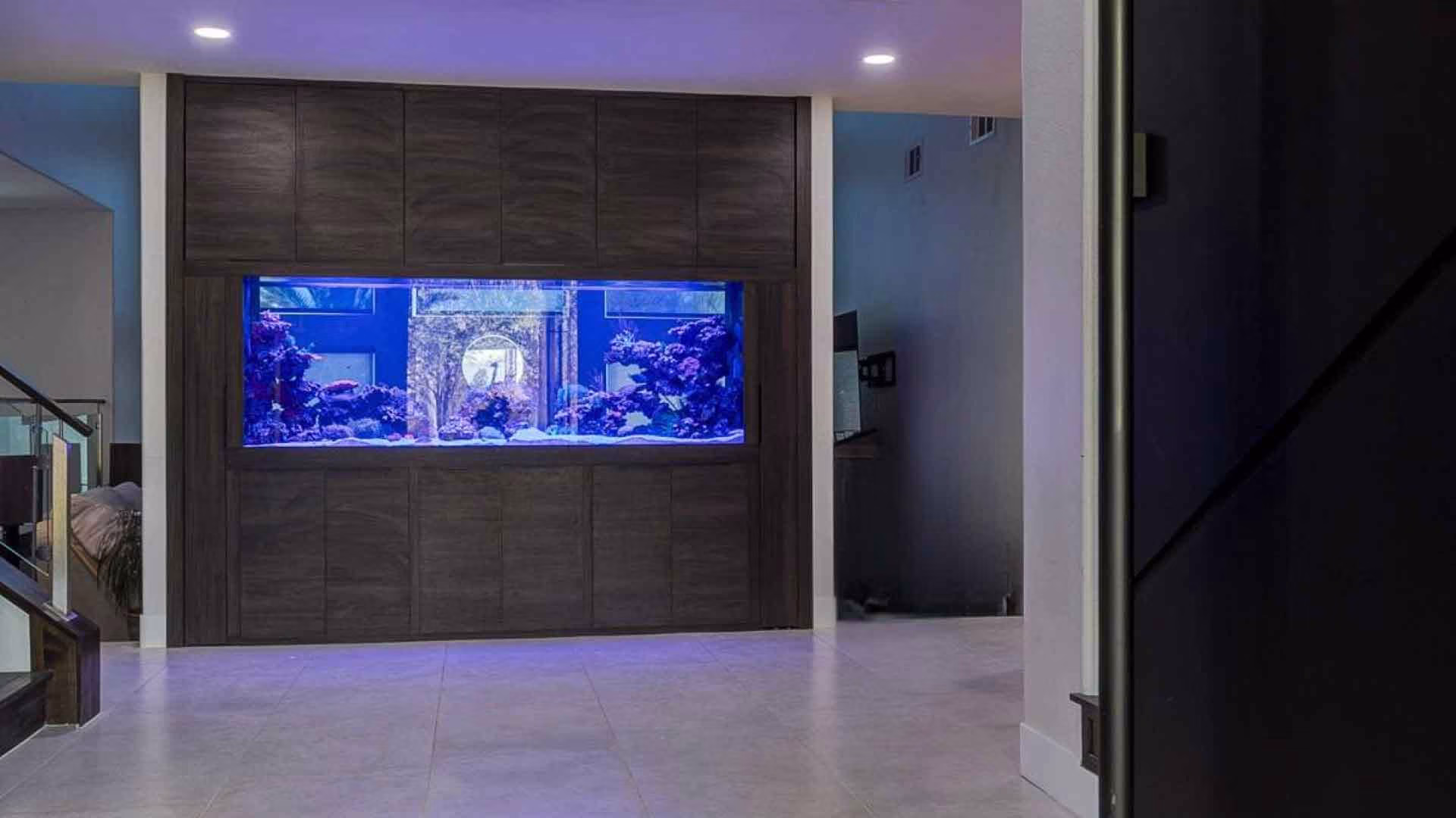 width_1199-r5syr8cvop55t4qufpmeigqs0gbsh7jrq3wis4kbao